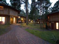 Bungalows Waldoase