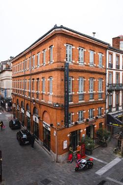 Ours Blanc Toulouse Centre