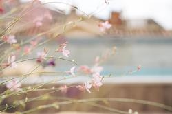 Urban Style Les Fleurines