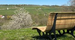 Best Western Hotel Polisina