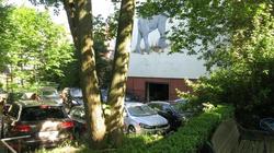 Elefant