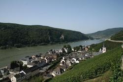 Rheinhotel Lamm