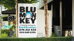 Blu Monkey Bed & Breakfast Phuket