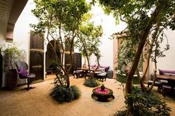 Riad Houdou