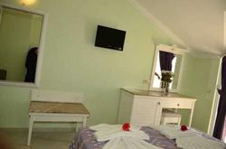 Blue Star Hotel