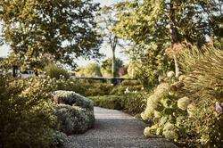 Le Montrachet