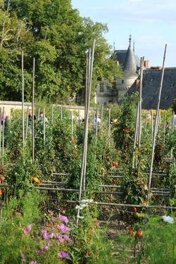 Chateau de la Bourdaisiere