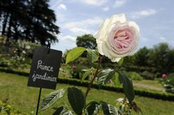 Chateau de la Bourdaisiere
