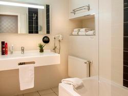 Logis Hotel le Parc Sologne