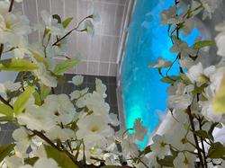 Hotel Le Calme Des Pins Spa
