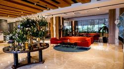 Dosso Dossi Hotels Downtown