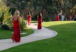 Courtyard San Diego Rancho Bernardo