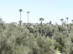 Riad Anya