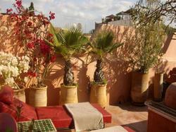 Riad Aloes