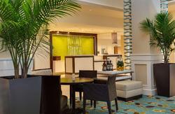 Hilton Garden Inn Daytona Beach Oceanfront, FL