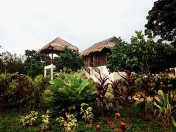 Wareerak Hot Spring & Wellness