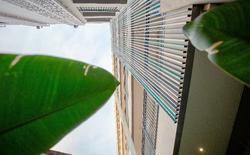 The Wings Boutique Hotel