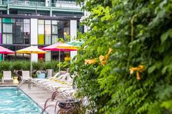 The Verb Hotel