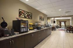 Microtel Inn & Suites By Wyndham Carrollton