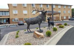 Rodeway Inn Central Colorado Springs