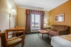 Rodeway Inn South