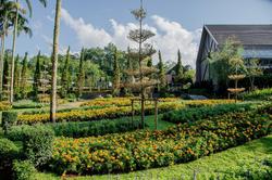 Flora Creek Chiang Mai