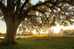 SpringHill Suites Austin Cedar Park