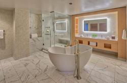 Hilton Norfolk The Main