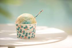 The Laylow Waikiki, Autograph Collection