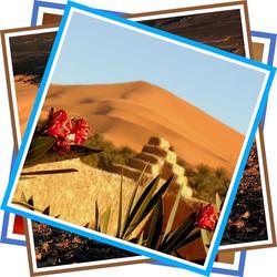 La Vallee Des Dunes