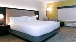 Holiday Inn Express and Suites Tampa East - Ybor C