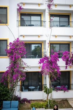 Payam Hotel