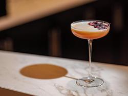 Niepce Paris Curio Collection By Hilton
