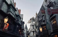 TownePlace Suites Orlando Theme Parks/LBV