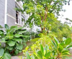 Ideo Phuket Hotel