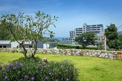 Patong Bay Hill Resort