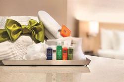 Radisson Hotel Charlotte Airport