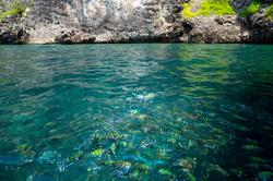 Phi Phi Coco Beach Resort