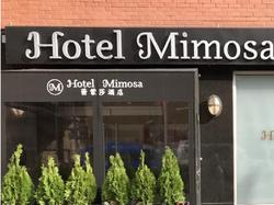 Hotel Mimosa