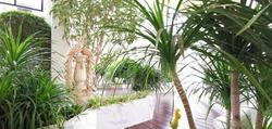 SN Connx Hotel