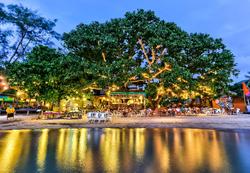 Sairee Hut Resort