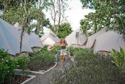 Roost Glamping