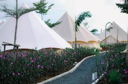 Roost Glamping