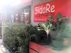 Sidare Bed And Breakfast