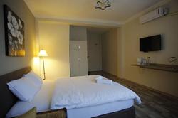Puffin Suite