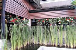 The Loft Chiangrai
