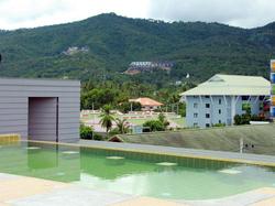 Cheeky Monkey Samui Hostel