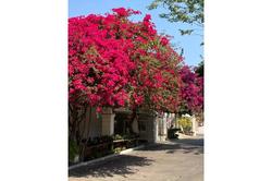 Delio Boutique Hotel