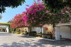 Delio Boutique Hotel