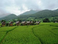 Pai Vieng Fah Resort